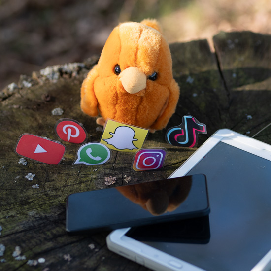 Spatz mit vielen Social Media Icons © Waldspatz-Medien; Medienkompetenz und Resilienzförderung
